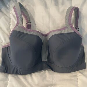 Panache Gray and Purple Sports Bra with Molded Cups